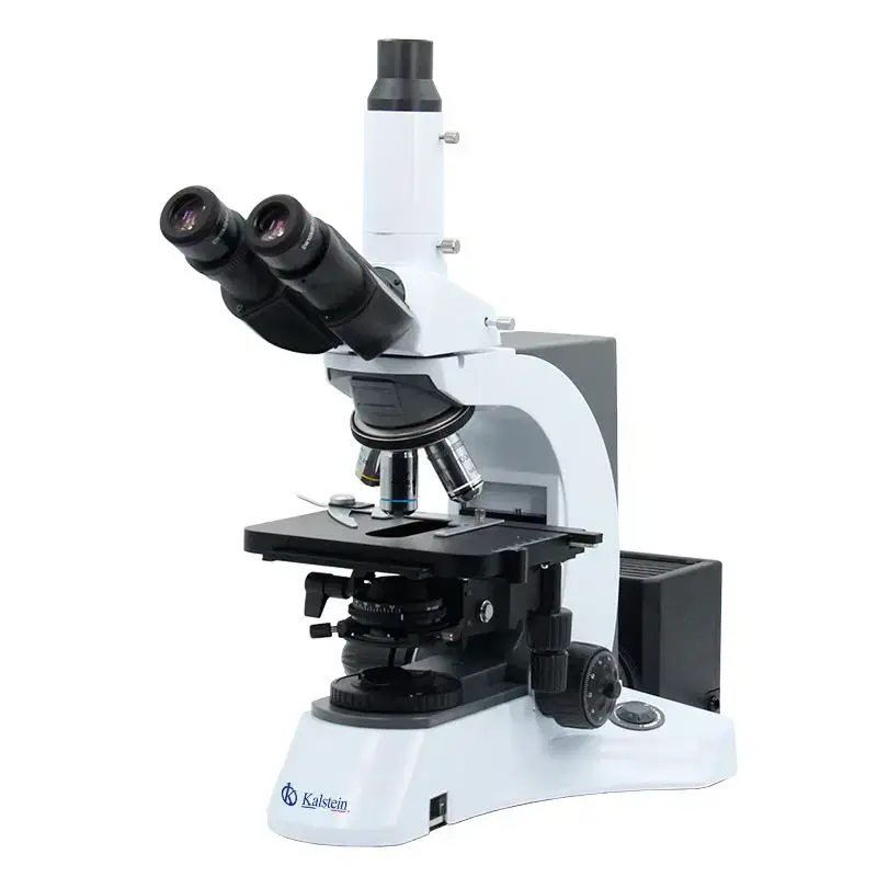 Microscopio Trinocular YR0231