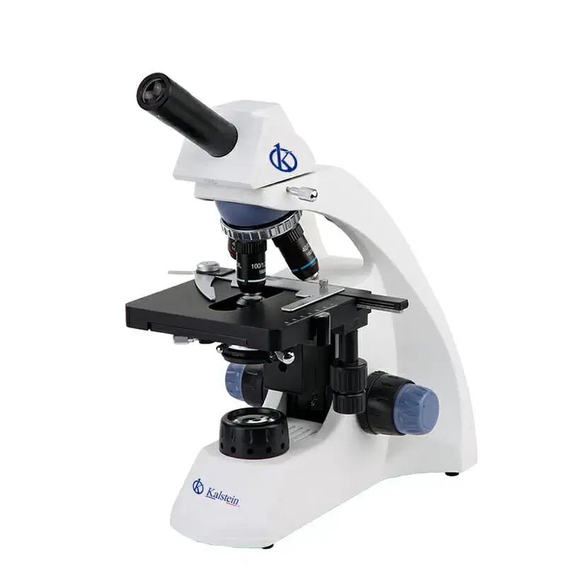 Microscopio binocular YR0242-M
