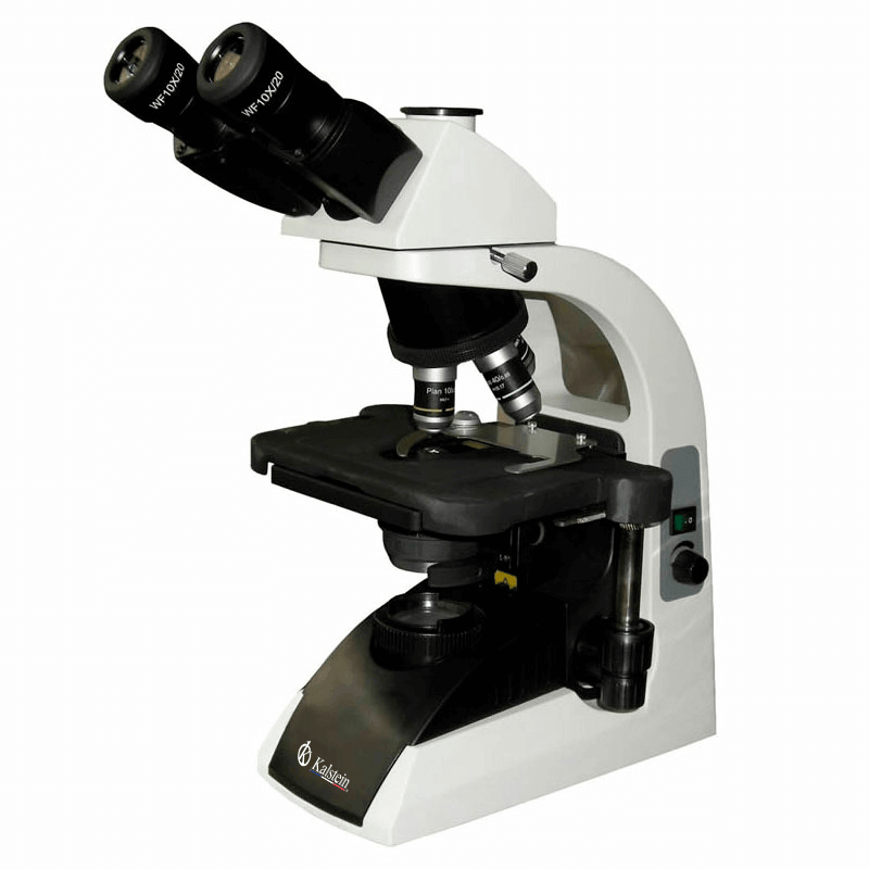 Microscopio binocular YR0243