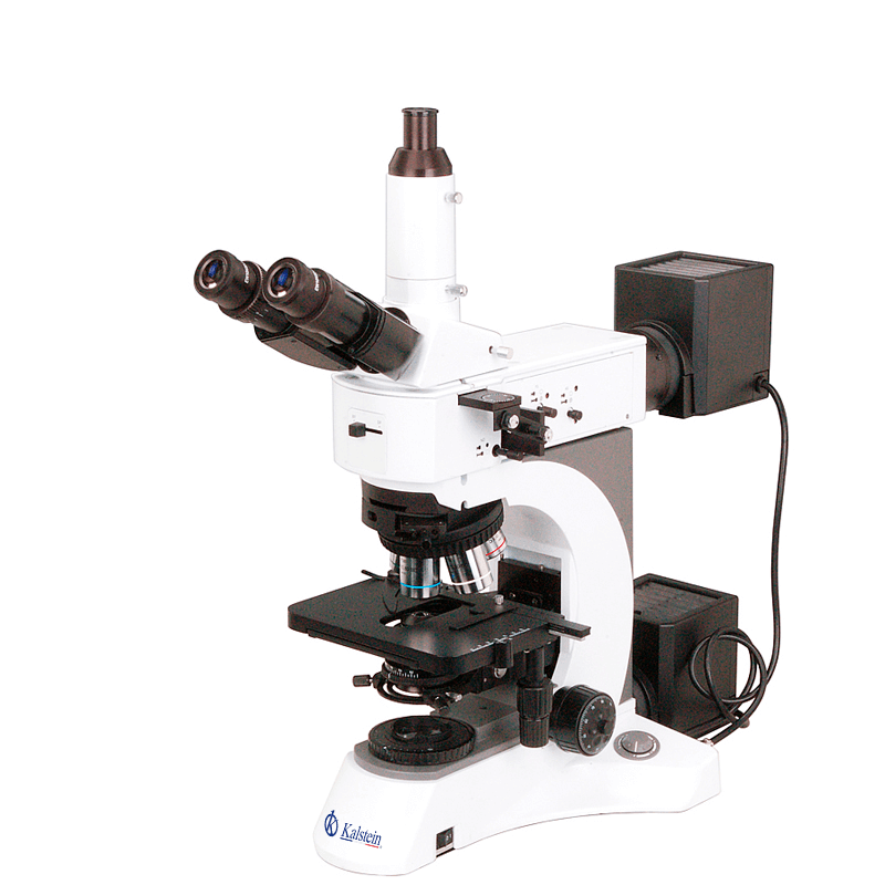 Microscopio Trinocular YR0255: Rendimiento Técnico y Seguridad