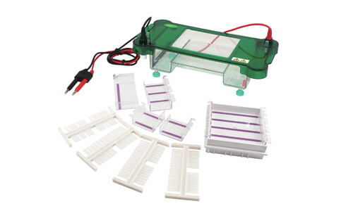 Electroforesis Horizontal YR03417: Innovación y Versatilidad en Laboratorios