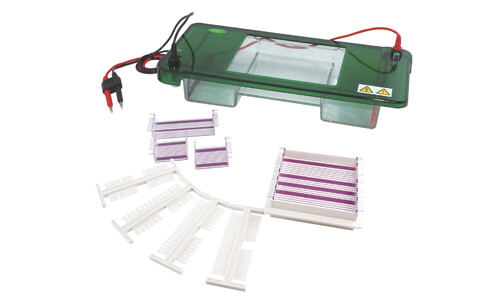 Errores frecuentes y soluciones en la electroforesis horizontal YR03418