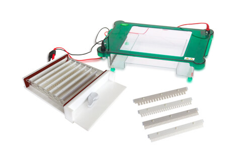 Electroforesis horizontal YR03421
