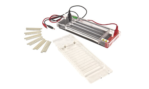 Consumibles y Accesorios Compatibles con la Electroforesis Horizontal YR03422