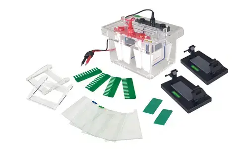 Celda de electroforesis vertical de mini YR03426
