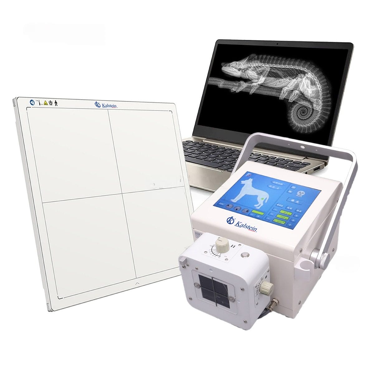 Garantía y vida útil esperada del Rayos X Digital Portátil Veterinario YR06160: Plan de Reemplazo