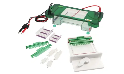 El Mieloma múltiple y la Electroforesis de Proteínas