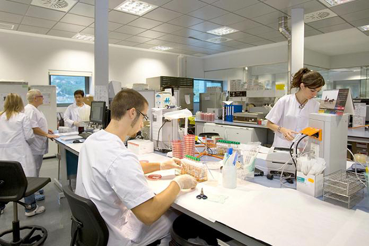 ¿Cómo elegir el analizador bioquímico correcto?