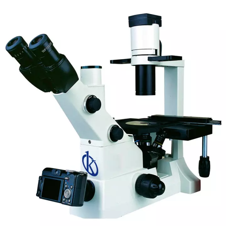 ¿Cómo eliminar los hongos de nuestros microscopios?