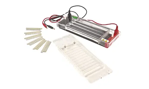 Electroforesis horizontal y vertical: Diferencias