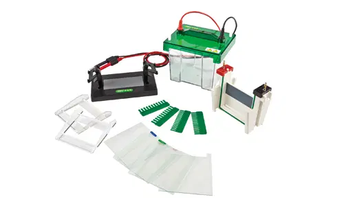 Electroforesis y sistemas de documentación de geles