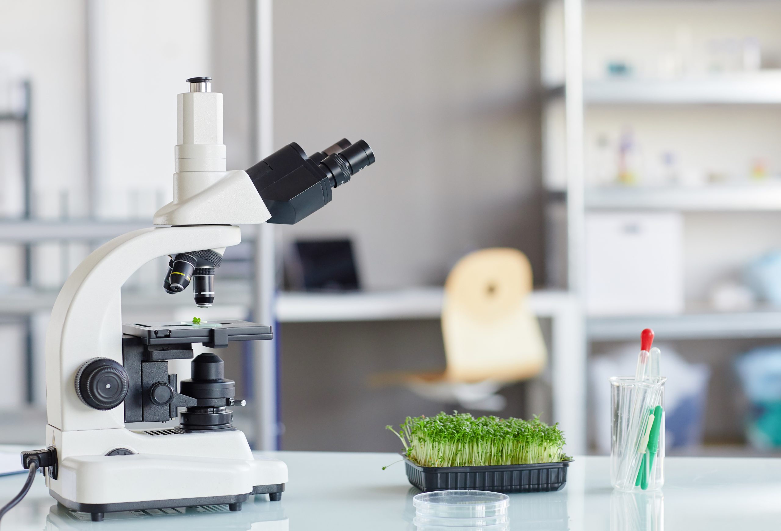¿Qué es un microscopio ecológico?