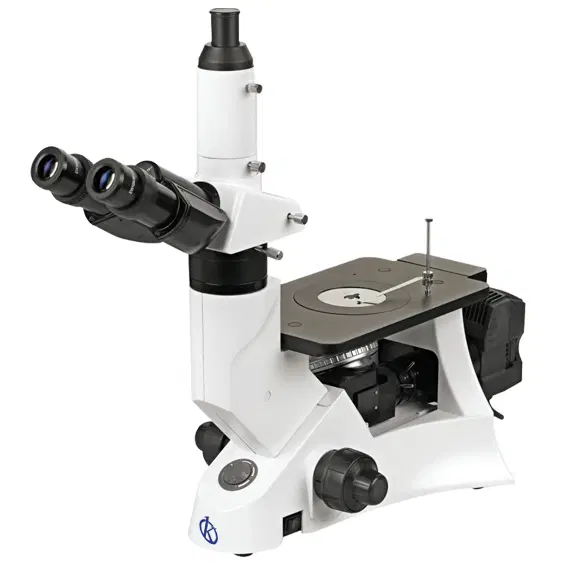 ¿Qué es un Microscopio Electrónico de Barrido?