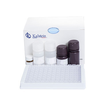 Reactivos de Química Clínica YRA1 // YRA14