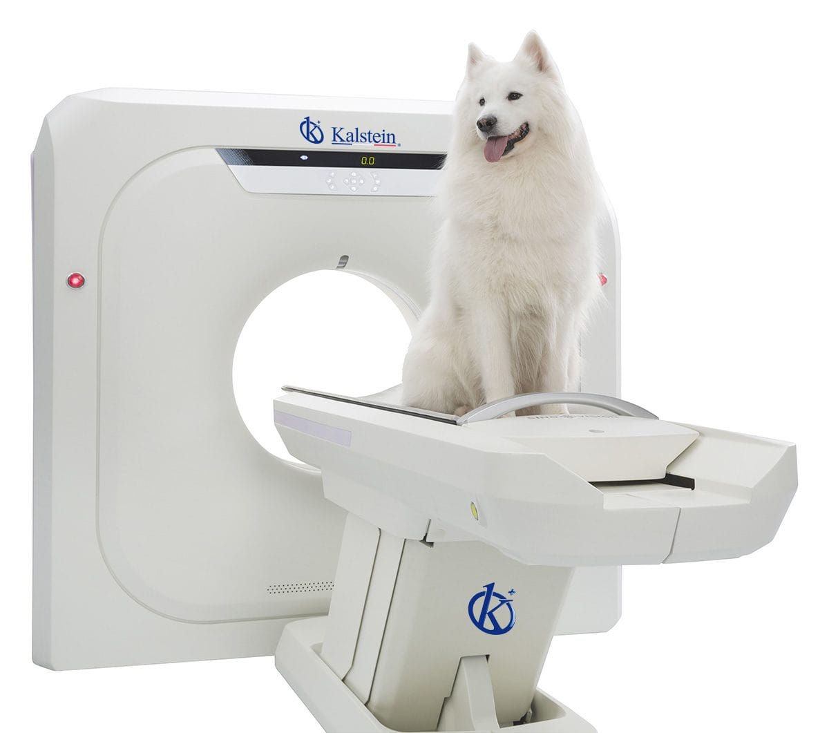 Revolución en Diagnóstico Veterinario: El Escáner TC de Kalstein