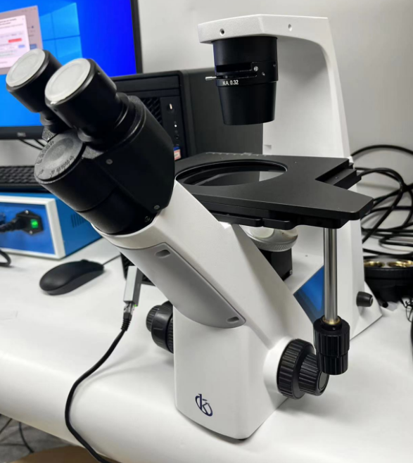 Microscopios Avanzados para Diagnósticos Clínicos: Claridad y Detalle en el Análisis de Tejidos y Células