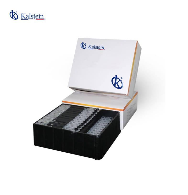 Tiras Consumibles POCT YRA404