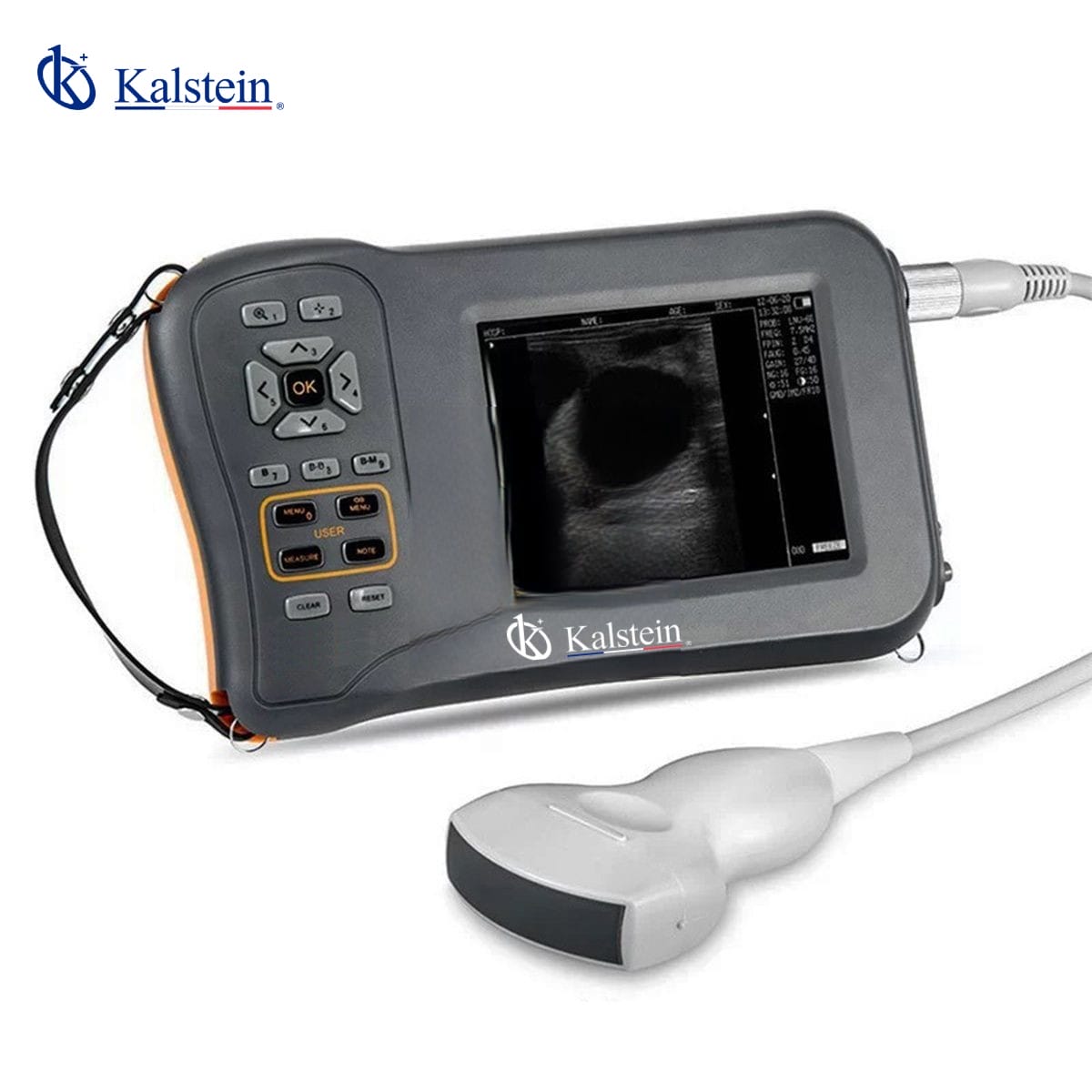 Tecnología de Ultrasonido Veterinario para Diagnósticos Más Confiables