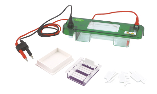 Electroforesis