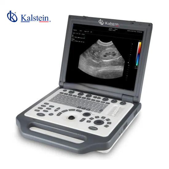 Explora los Avances y Beneficios del Doppler Color Veterinario de Kalstein